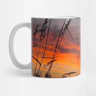 Sunset in beautiful colors Mug